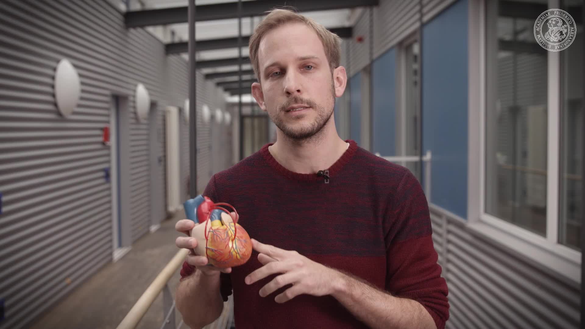 2 Minuten Wissen - Pflaster fürs Herz preview image