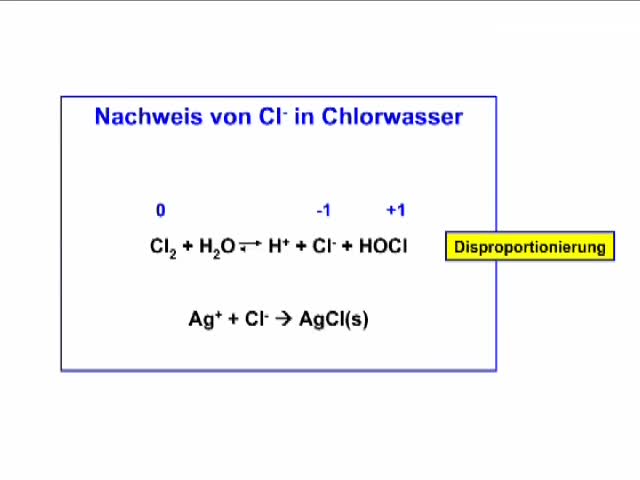 Allgemeine und Anorganische Chemie (mit Experimente) preview image