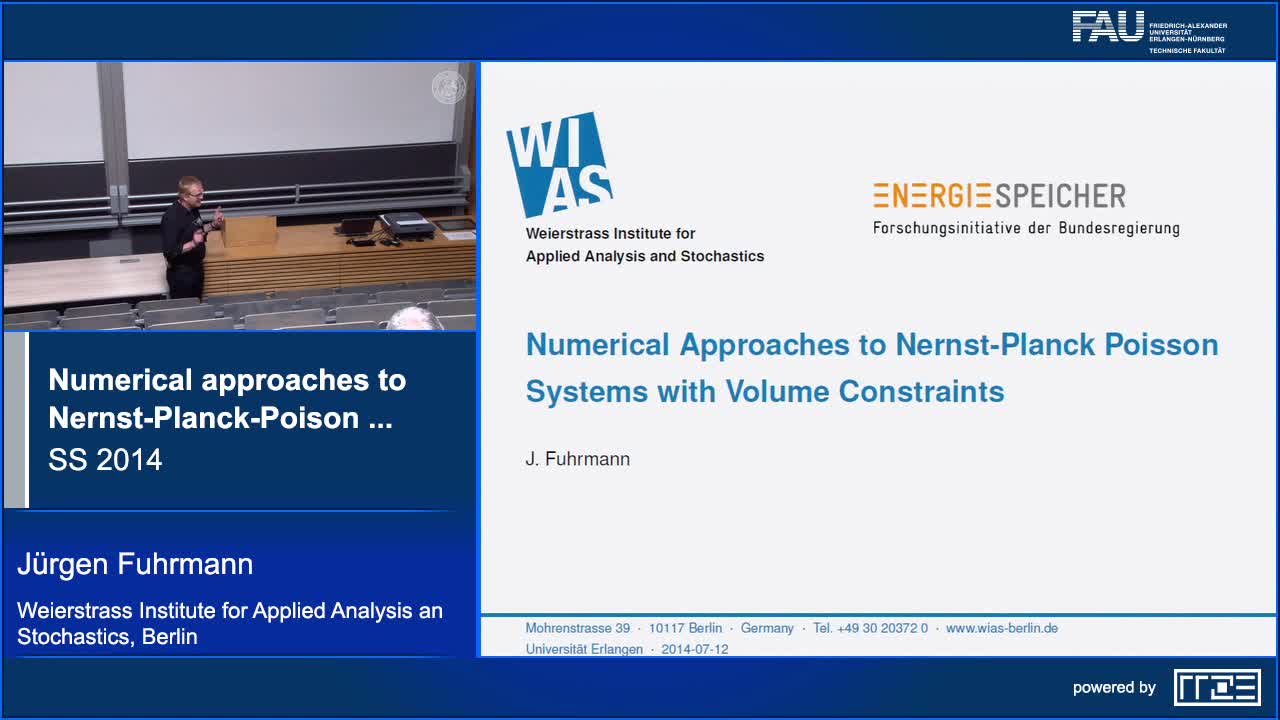 Numerical approaches to Nernst-Planck-Poison systems with volume constraints preview image