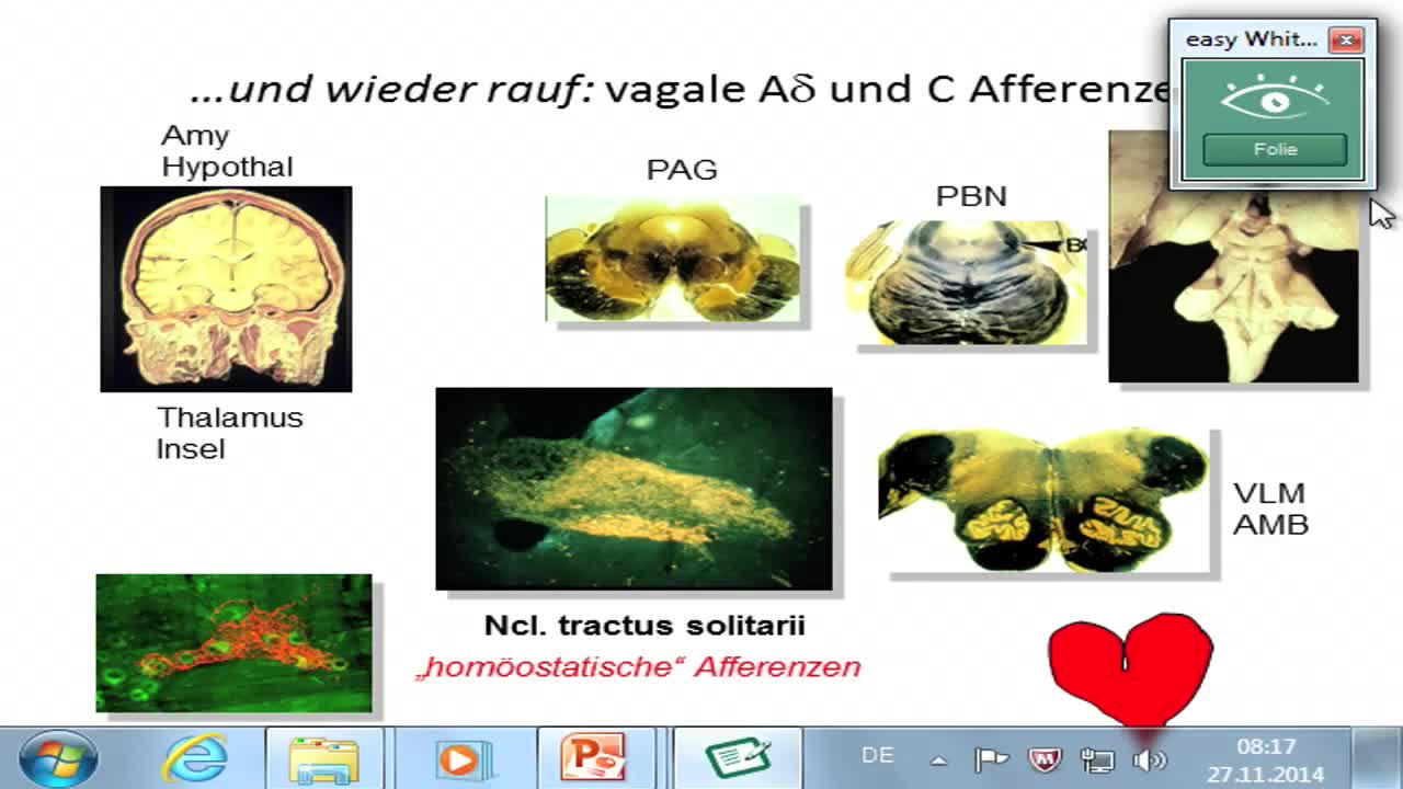 ARAS, Riechschleimhaut preview image