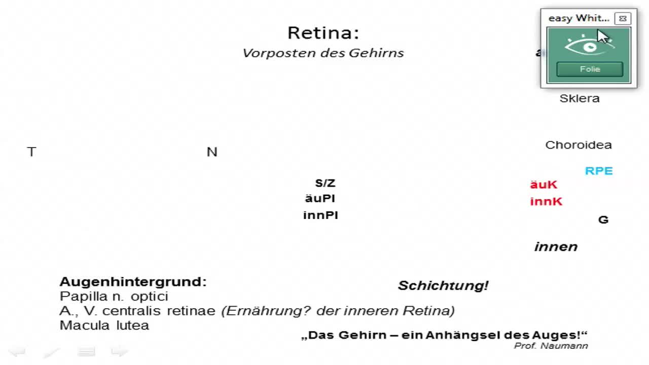 Neuroanatomie 2014/2015 preview image