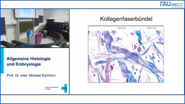 Allgemeine Histologie und Embryologie preview image