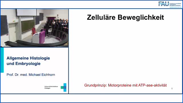 Allgemeine Histologie und Embryologie preview image