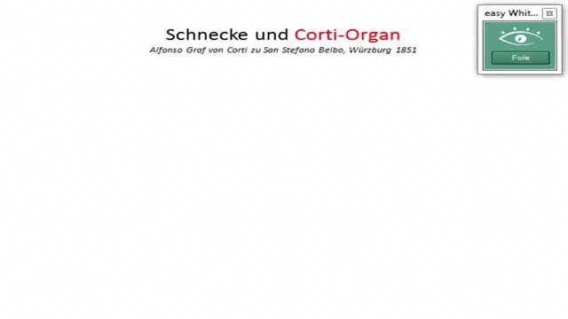Corti-Organ, Hörbahn preview image
