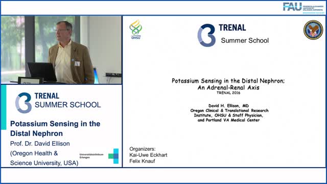 TRENAL Summer School - Potassium sensing in the distal nephron preview image