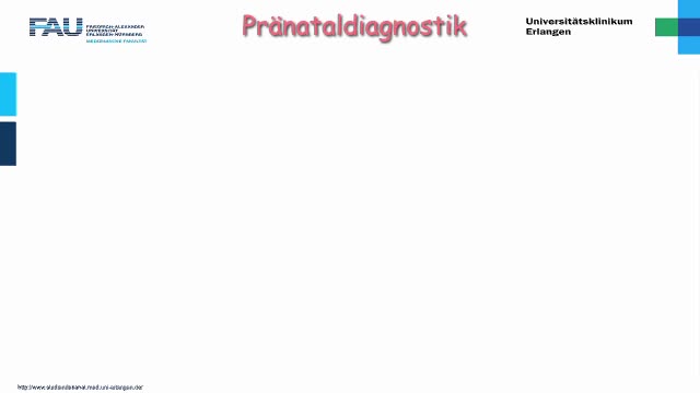 Medcast - Gynäkologie - Pränataldiagnostik 2 preview image