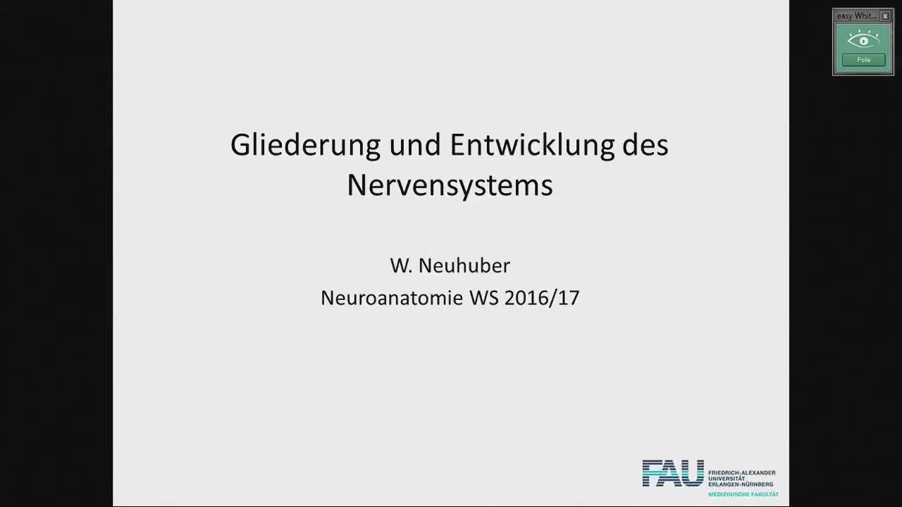 Neuroanatomie preview image