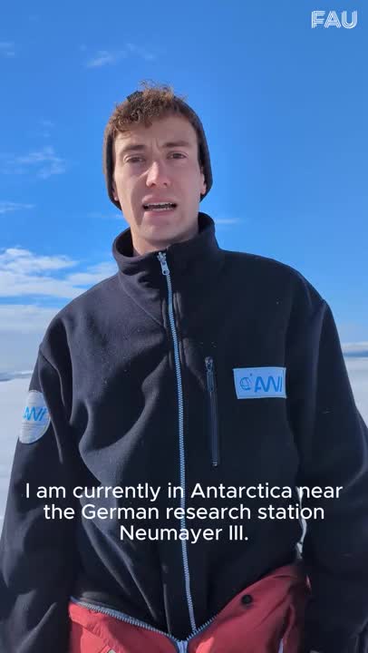 Kaiserpinguine in der Antarktis preview image