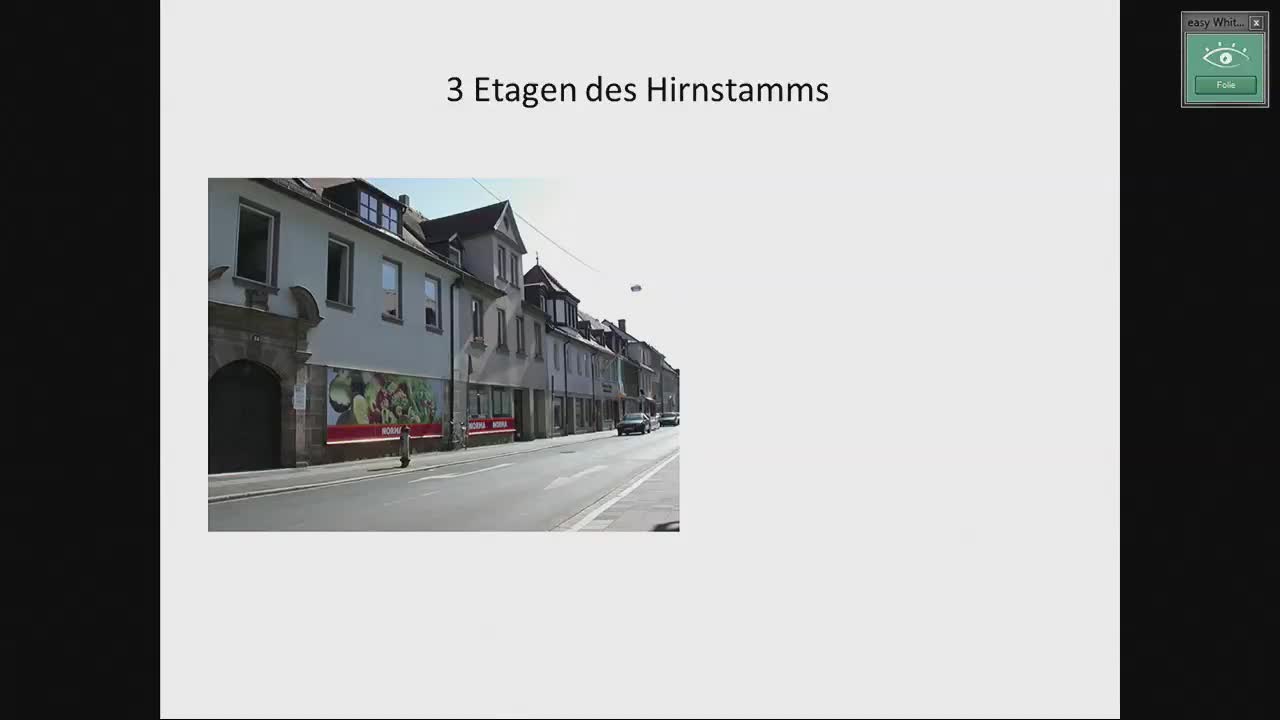 Hirnstamm (Basis, Tegmentum, Tectum); Entwicklung der Großhirnbahnen preview image