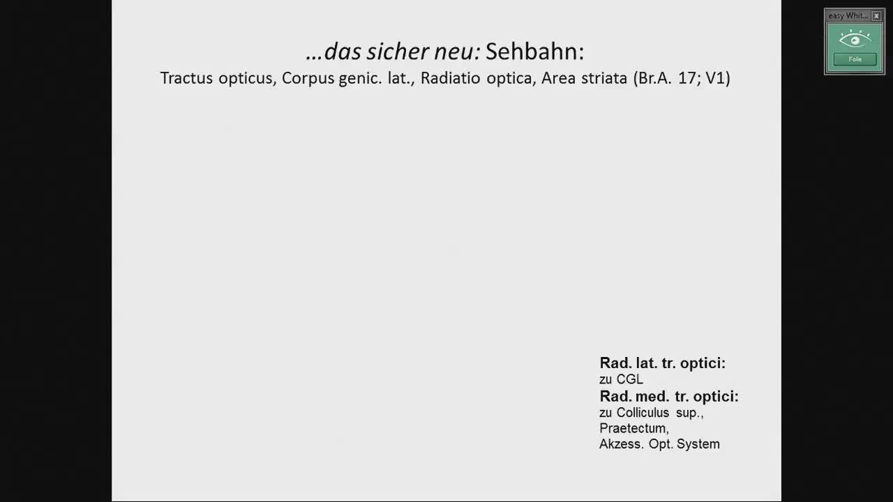 Sehrindenareale, Läsionen der Sehbahn; Ohrentwicklung preview image