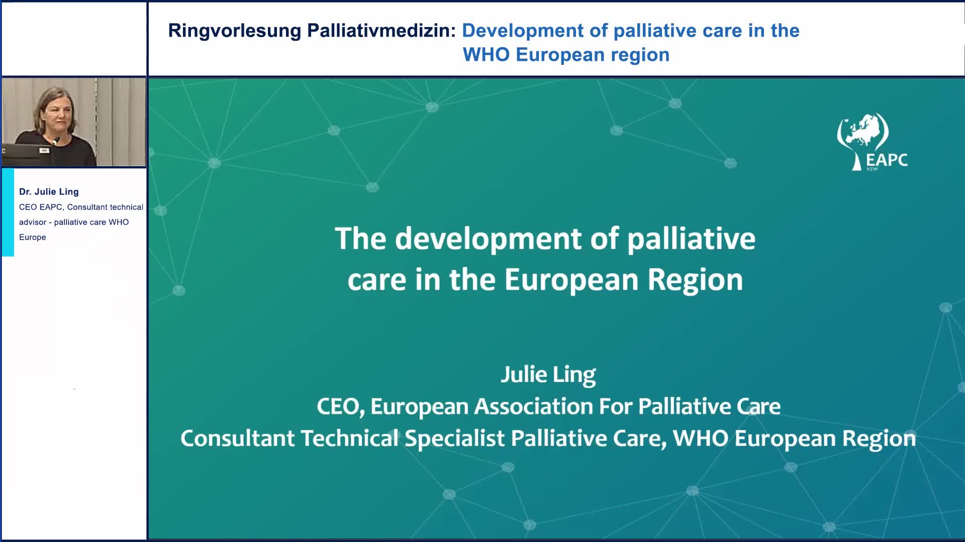 Development of palliative care in the WHO European region preview image