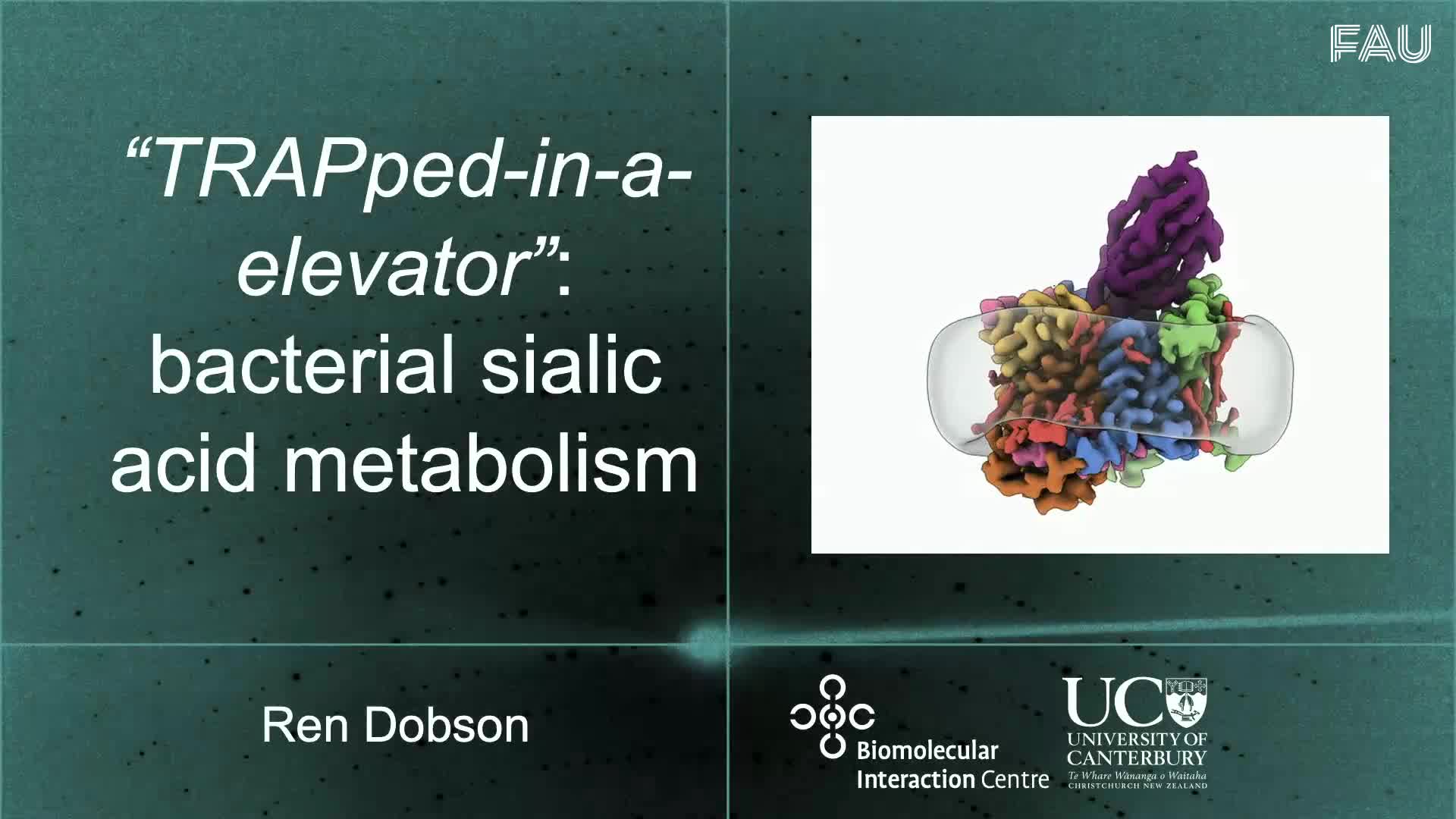 TRAPped in an elevator: amino-sugar uptake and utilisation by bacteria preview image