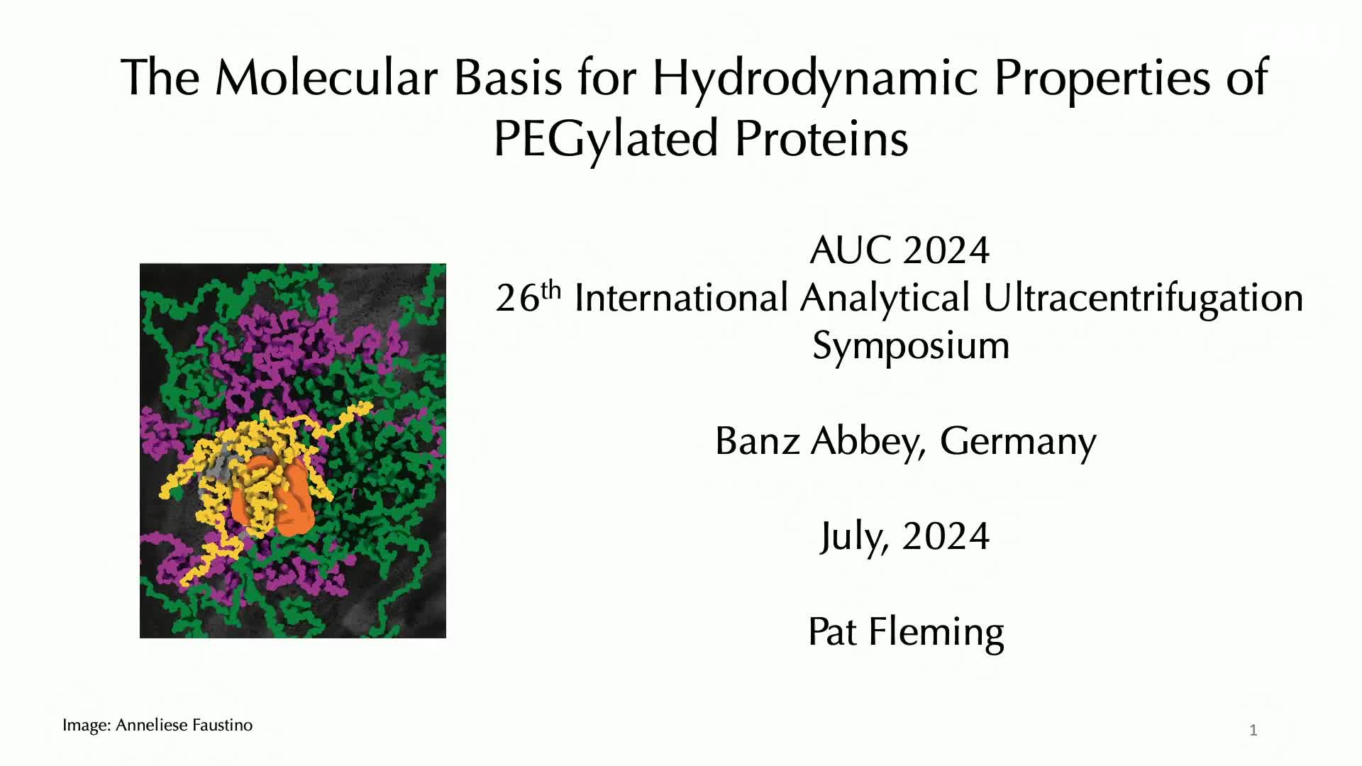 The molecular basis for hydrodynamic properties of PEGylated proteins preview image