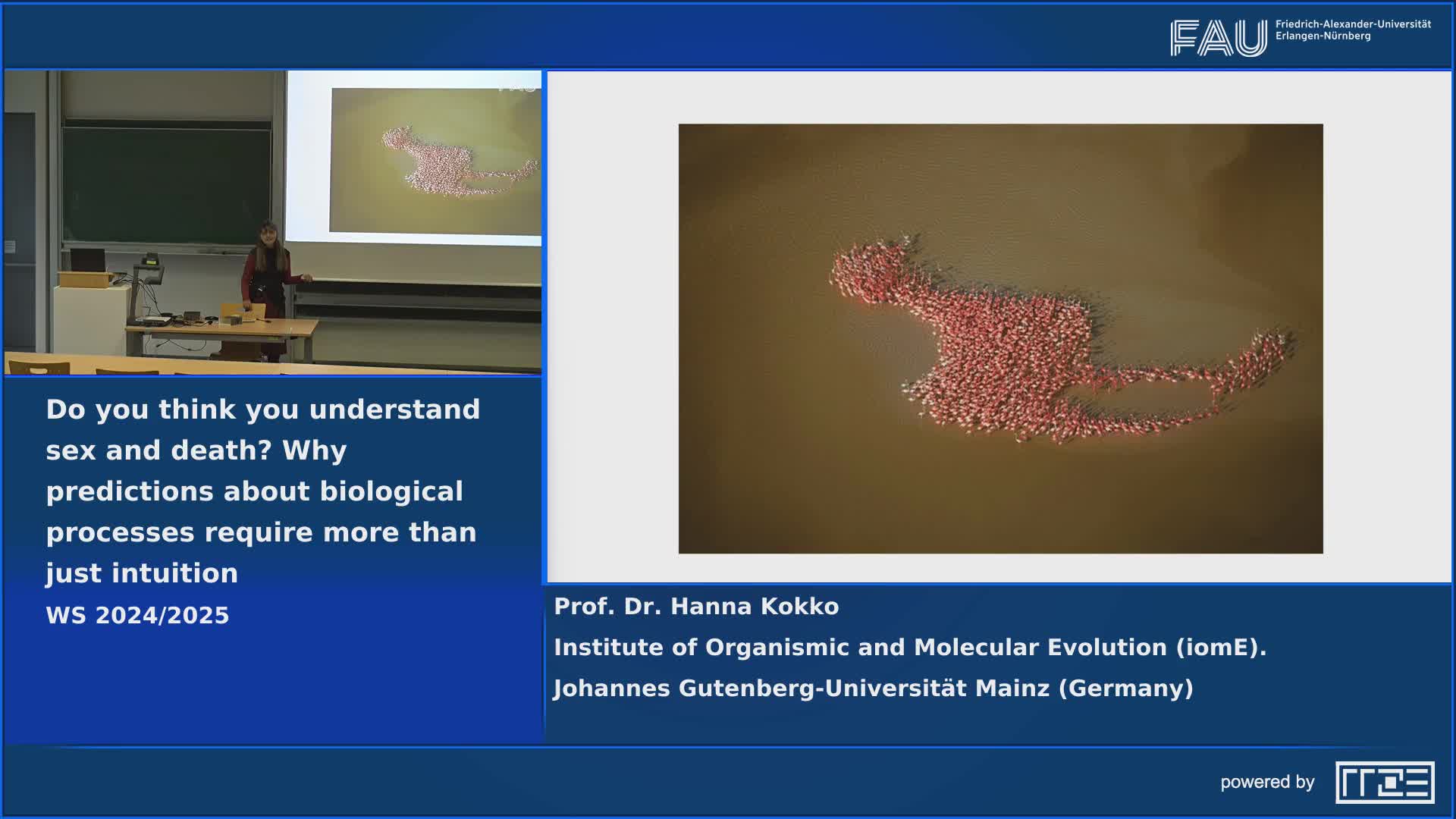 FAU MoD Lecture: Do you think you understand sex and death? Why predictions about biological processes require more than just intuition preview image