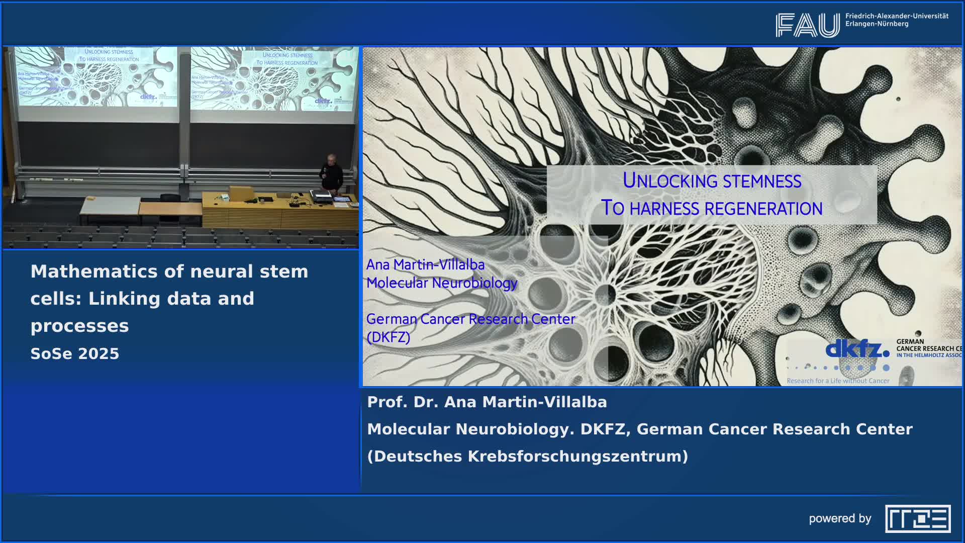 FAU MoD Lecture: Mathematics of neural stem cells: Linking data and processes preview image