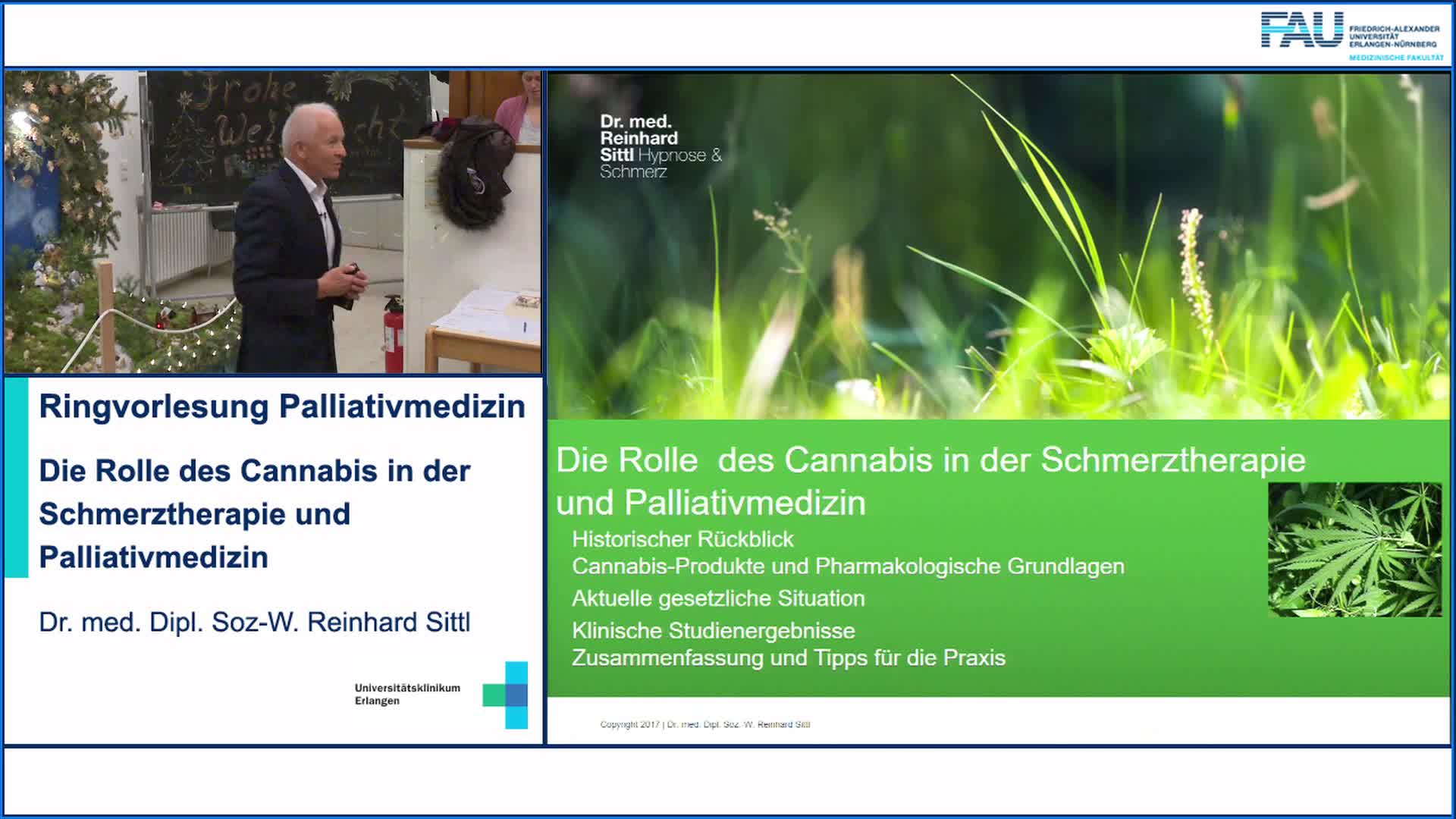 Die Rolle  des Cannabis in der Schmerztherapie und Palliativmedizin preview image