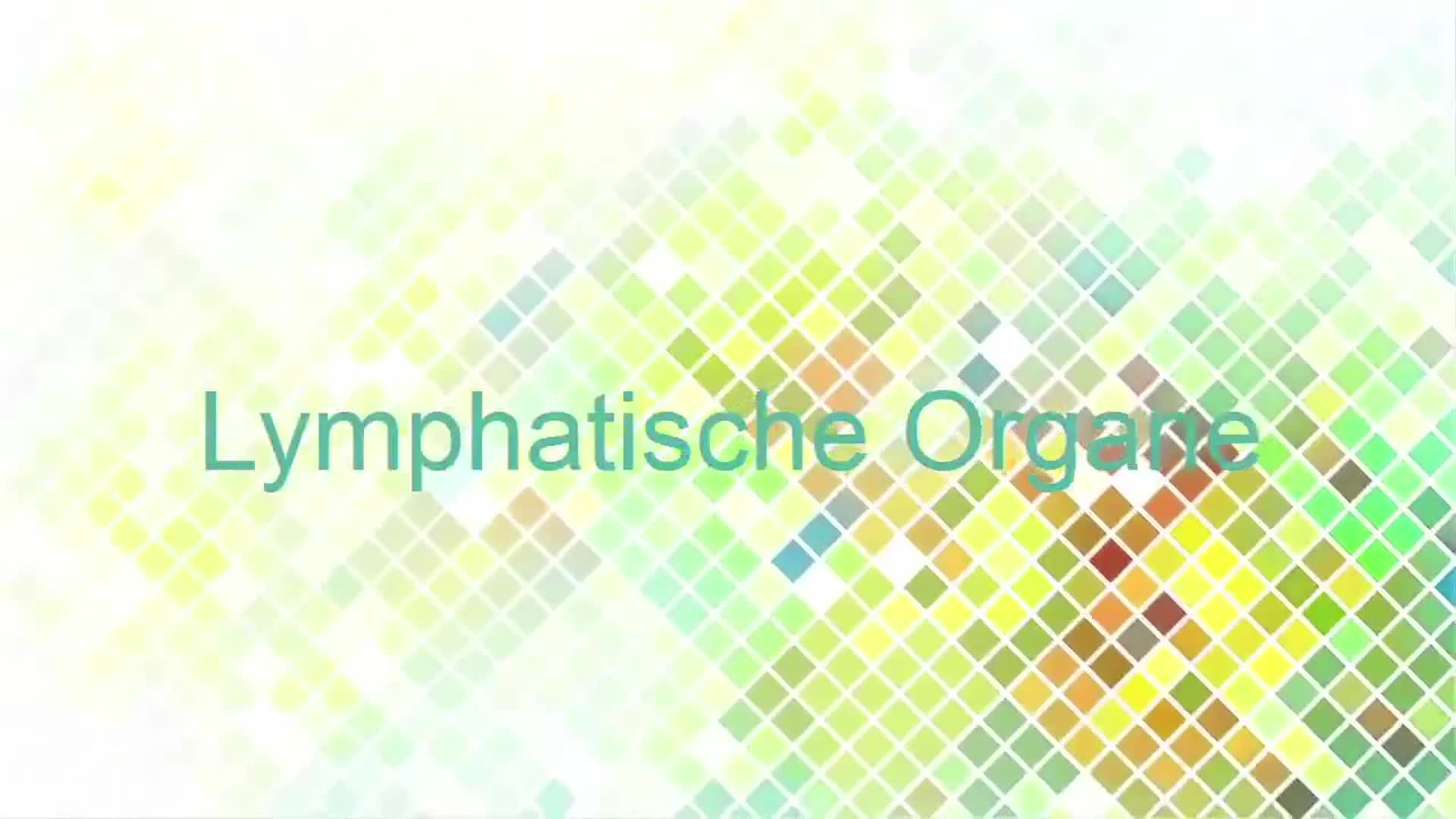 Medcast - Histologie - Lymphatische Organe preview image
