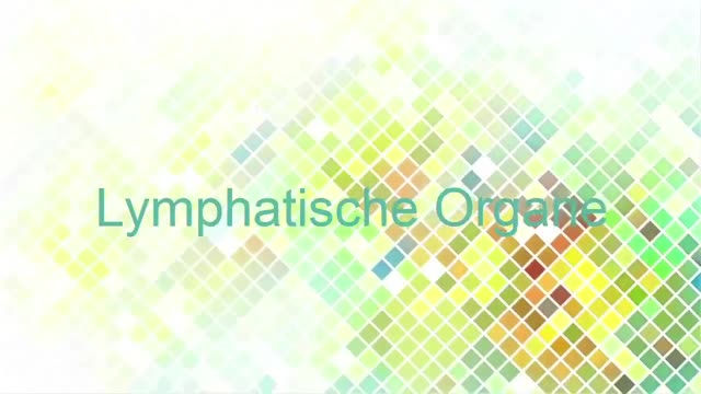 Medcast - Histologie - Lymphatische Organe preview image