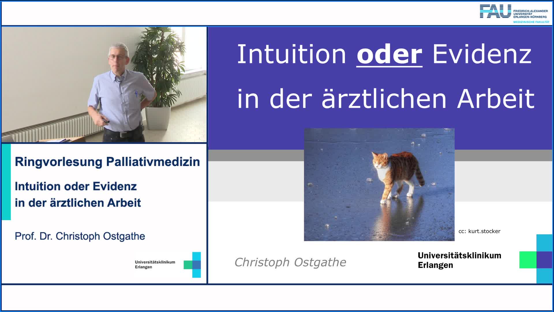 Intuition oder Evidenz in der ärztlichen Arbeit preview image