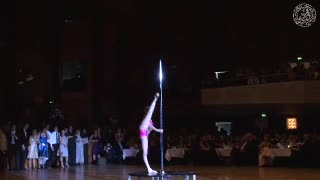Winterball 2011 - Pole Dance preview image