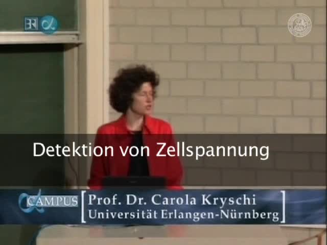 Detektion von Zellspannung mit molekularen Voltmetern preview image