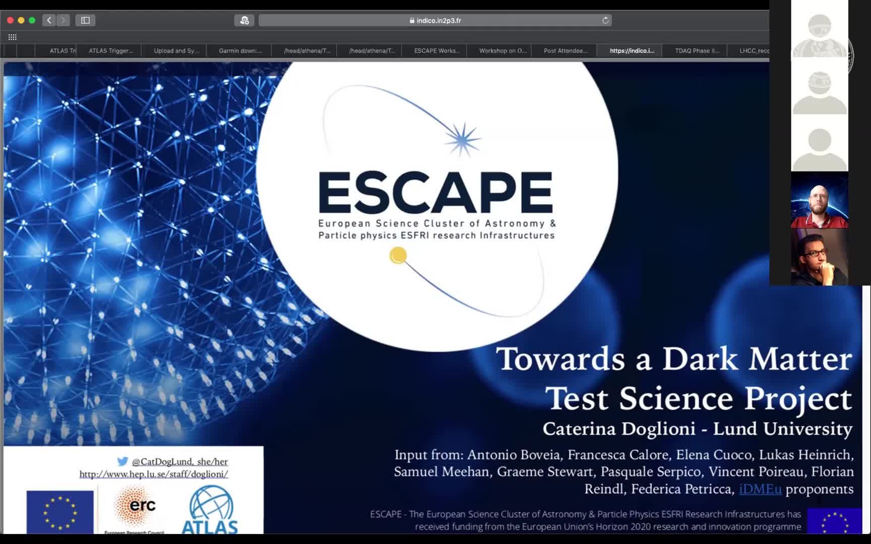 The ESCAPE Test Science Project: Dark Matter and How to Involve the Community preview image
