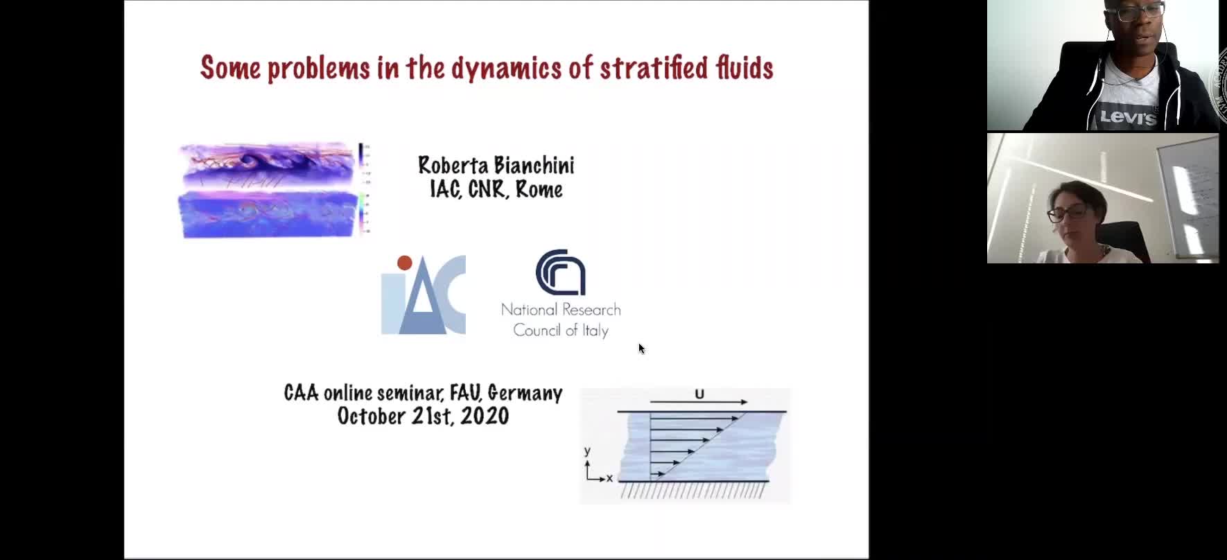 Some problems in the dynamics of stratified fluids (Roberta Bianchini, Istituto per le Applicazioni del Calcolo) preview image