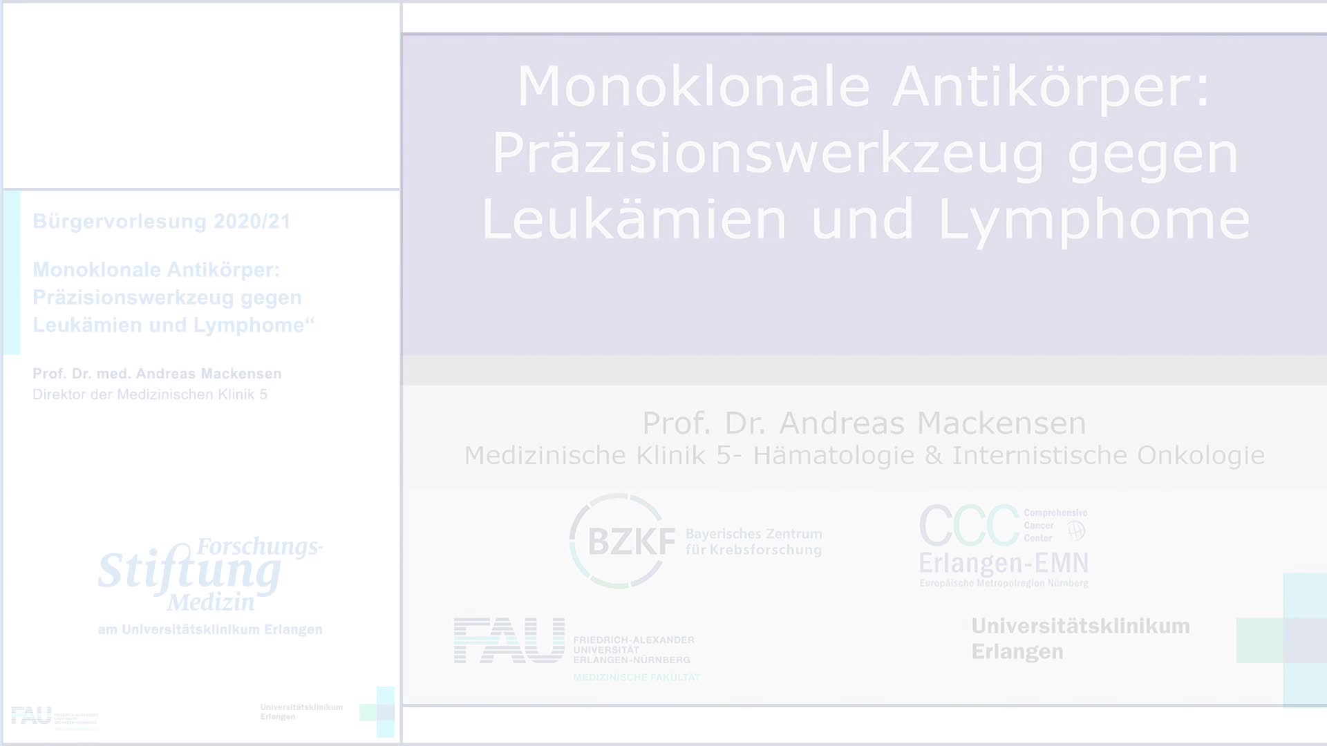 Monoklonale Antikörper:  Präzisionswerkzeug gegen  Leukämien und Lymphome preview image