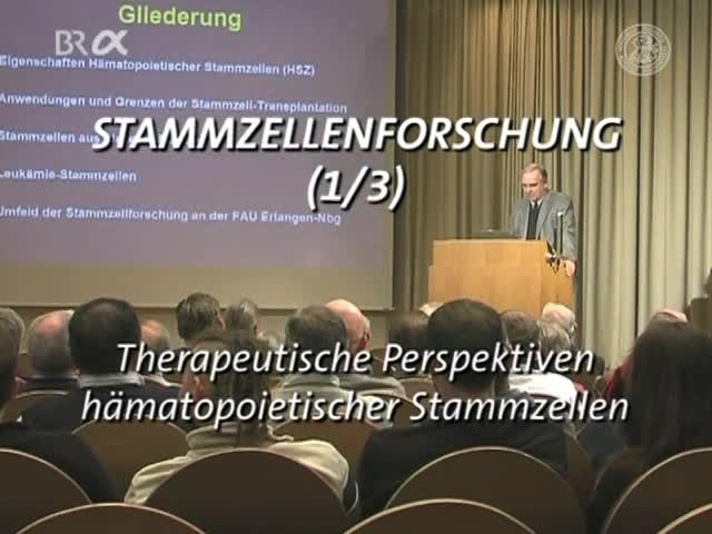 Therapeutische Perspektiven hämatopoietischer Stammzellen preview image