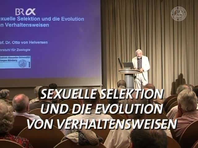 Sexuelle Selektion und die Evolution von Verhaltensweisen preview image